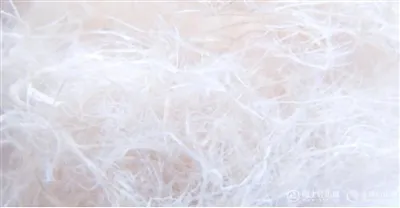 Eco - בד ידידותי